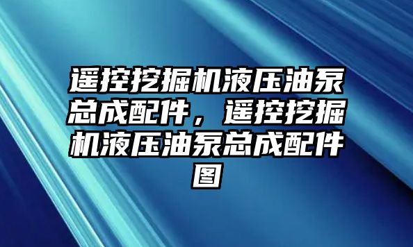 遙控挖掘機液壓油泵總成配件，遙控挖掘機液壓油泵總成配件圖