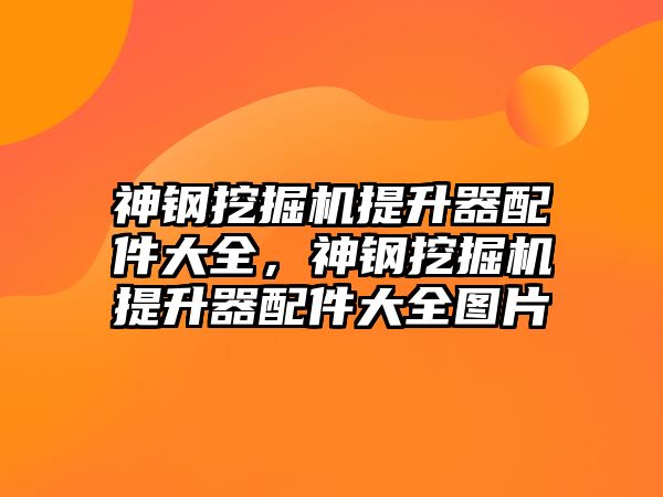 神鋼挖掘機提升器配件大全，神鋼挖掘機提升器配件大全圖片