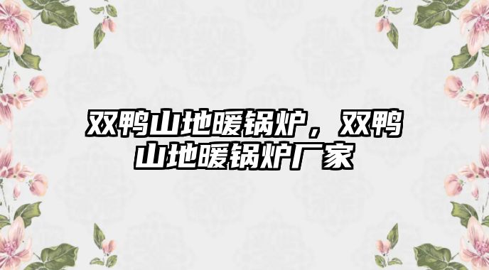 雙鴨山地暖鍋爐，雙鴨山地暖鍋爐廠家