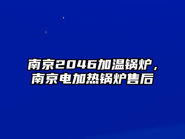 南京2046加溫鍋爐，南京電加熱鍋爐售后