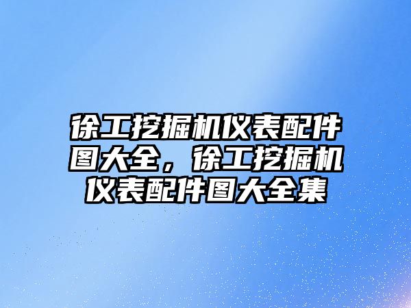 徐工挖掘機儀表配件圖大全，徐工挖掘機儀表配件圖大全集