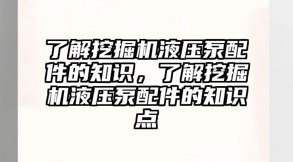 了解挖掘機(jī)液壓泵配件的知識，了解挖掘機(jī)液壓泵配件的知識點(diǎn)