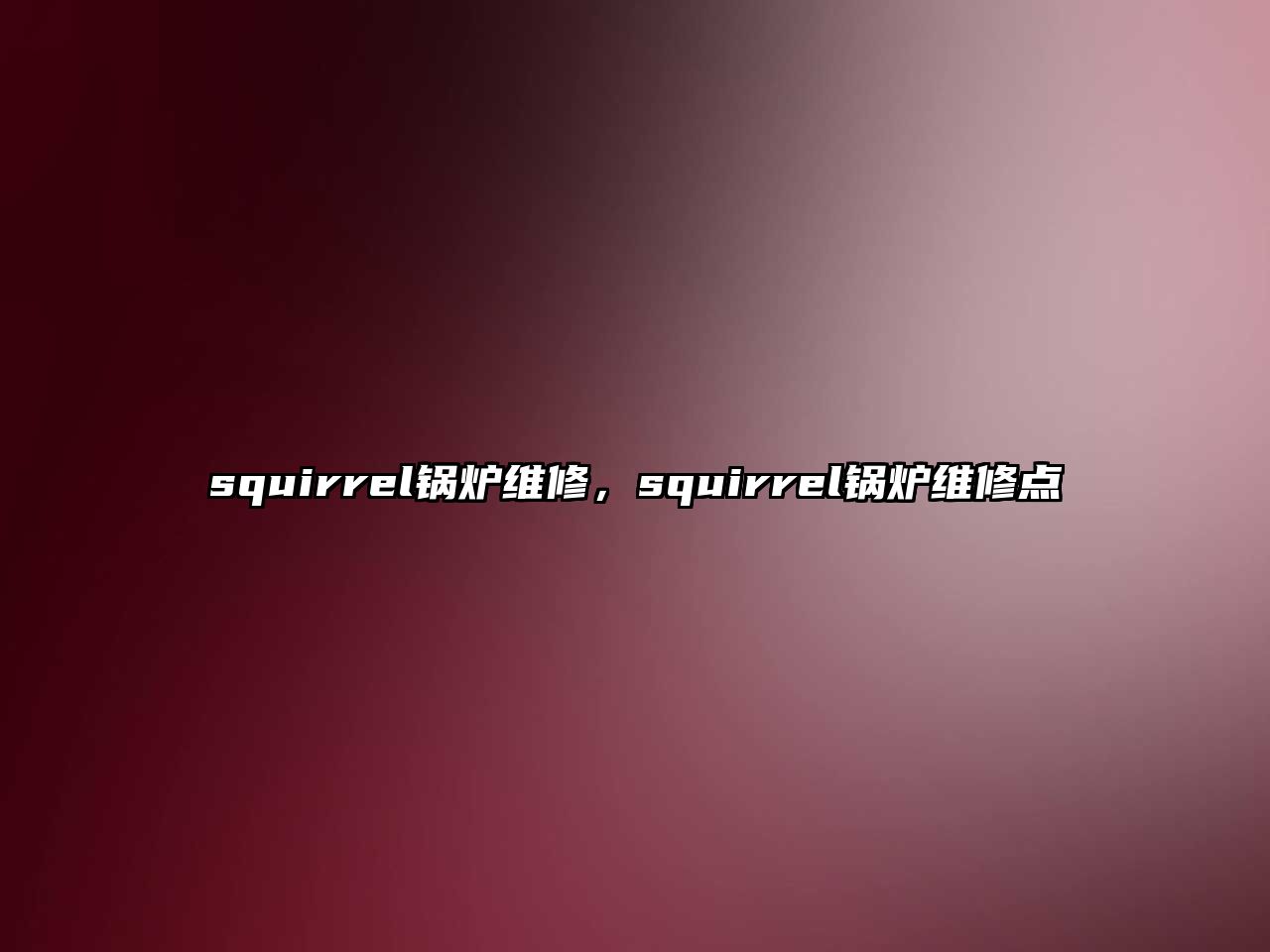 squirrel鍋爐維修，squirrel鍋爐維修點