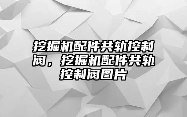 挖掘機(jī)配件共軌控制閥，挖掘機(jī)配件共軌控制閥圖片