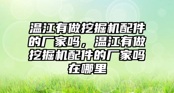 溫江有做挖掘機(jī)配件的廠家嗎，溫江有做挖掘機(jī)配件的廠家嗎在哪里