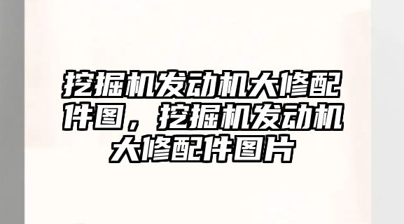 挖掘機發(fā)動機大修配件圖，挖掘機發(fā)動機大修配件圖片