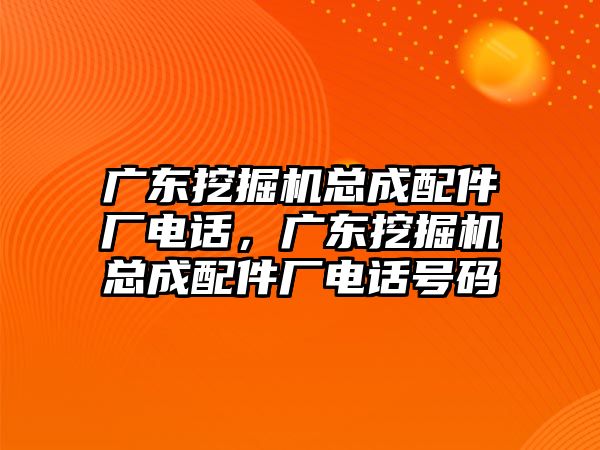 廣東挖掘機(jī)總成配件廠電話，廣東挖掘機(jī)總成配件廠電話號(hào)碼