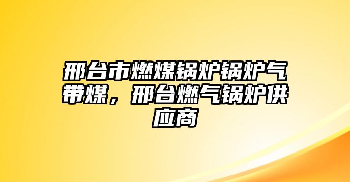 邢臺(tái)市燃煤鍋爐鍋爐氣帶煤，邢臺(tái)燃?xì)忮仩t供應(yīng)商