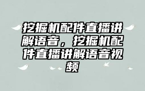 挖掘機(jī)配件直播講解語(yǔ)音，挖掘機(jī)配件直播講解語(yǔ)音視頻