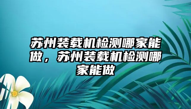 蘇州裝載機檢測哪家能做，蘇州裝載機檢測哪家能做