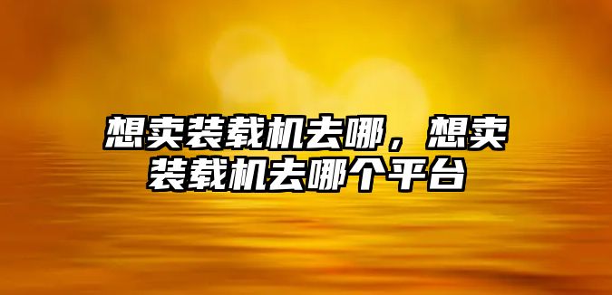 想賣裝載機(jī)去哪，想賣裝載機(jī)去哪個(gè)平臺(tái)