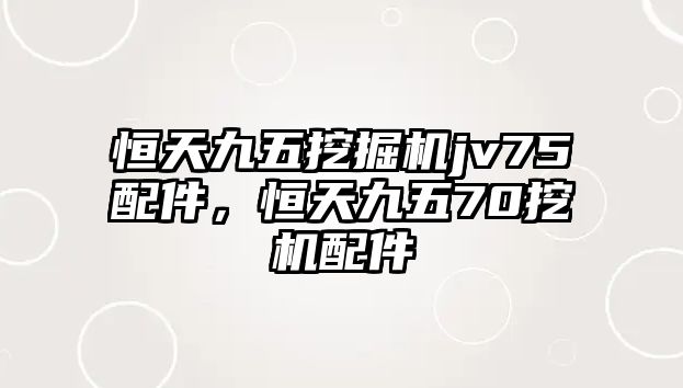 恒天九五挖掘機(jī)jv75配件，恒天九五70挖機(jī)配件