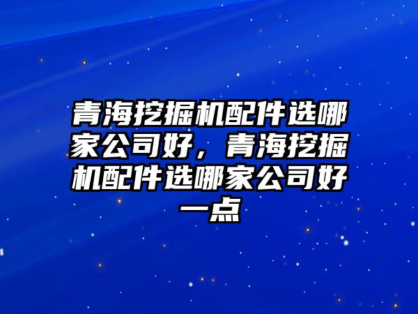 青海挖掘機(jī)配件選哪家公司好，青海挖掘機(jī)配件選哪家公司好一點(diǎn)