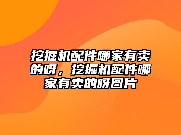 挖掘機(jī)配件哪家有賣的呀，挖掘機(jī)配件哪家有賣的呀圖片