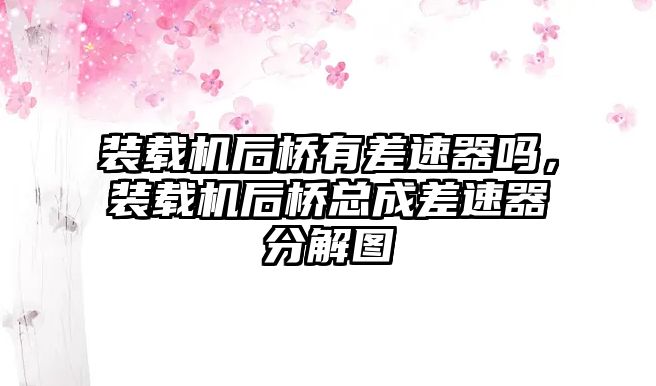 裝載機后橋有差速器嗎，裝載機后橋總成差速器分解圖