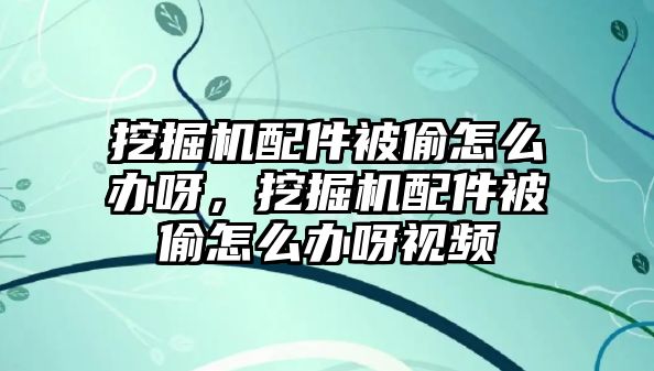 挖掘機配件被偷怎么辦呀，挖掘機配件被偷怎么辦呀視頻