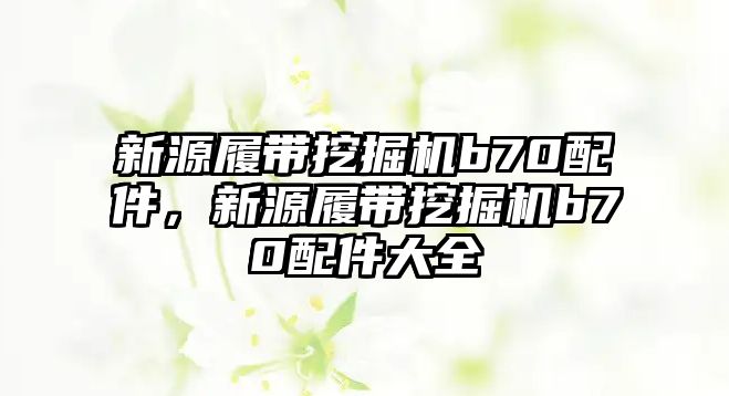 新源履帶挖掘機b70配件，新源履帶挖掘機b70配件大全