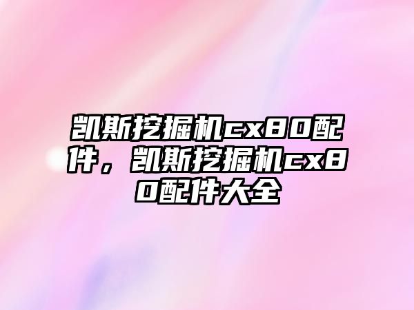 凱斯挖掘機cx80配件，凱斯挖掘機cx80配件大全