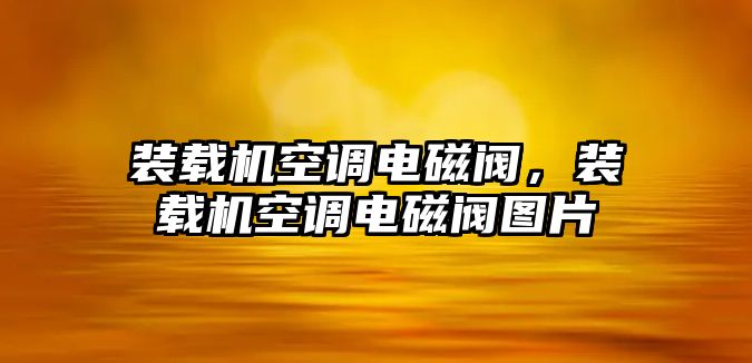 裝載機(jī)空調(diào)電磁閥，裝載機(jī)空調(diào)電磁閥圖片