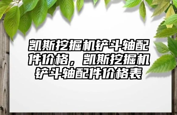 凱斯挖掘機鏟斗軸配件價格，凱斯挖掘機鏟斗軸配件價格表