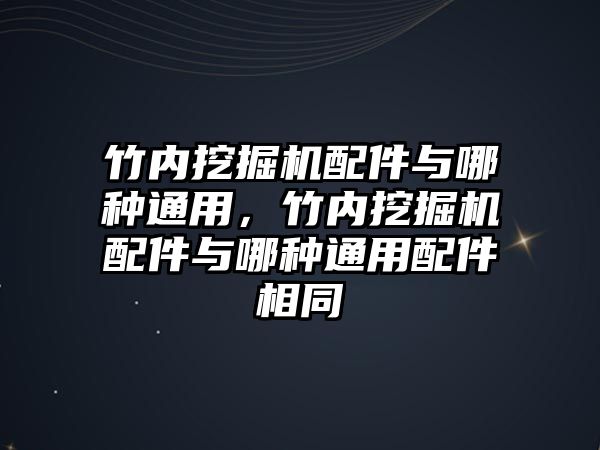 竹內(nèi)挖掘機配件與哪種通用，竹內(nèi)挖掘機配件與哪種通用配件相同