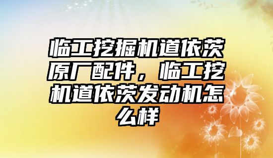 臨工挖掘機道依茨原廠配件，臨工挖機道依茨發(fā)動機怎么樣