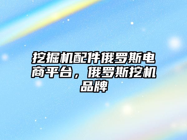 挖掘機配件俄羅斯電商平臺，俄羅斯挖機品牌