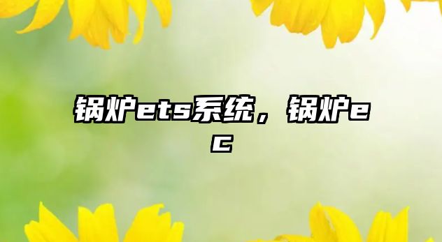 鍋爐ets系統(tǒng)，鍋爐ec