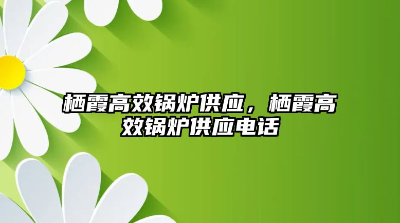 棲霞高效鍋爐供應，棲霞高效鍋爐供應電話