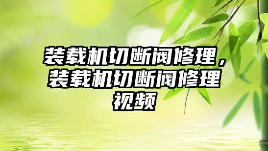 裝載機(jī)切斷閥修理，裝載機(jī)切斷閥修理視頻