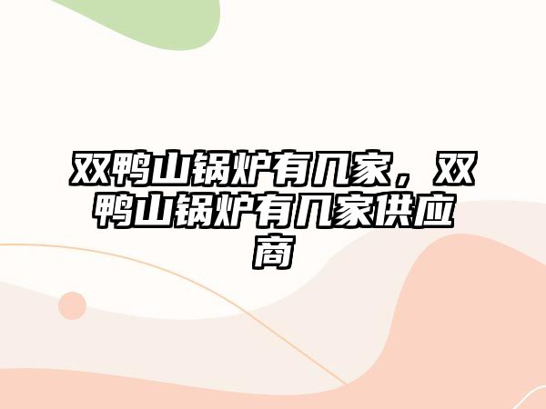 雙鴨山鍋爐有幾家，雙鴨山鍋爐有幾家供應(yīng)商