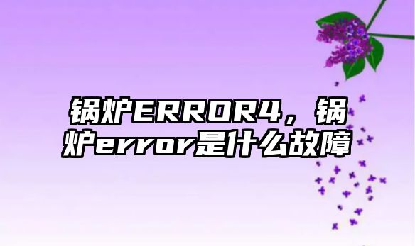 鍋爐ERROR4，鍋爐error是什么故障