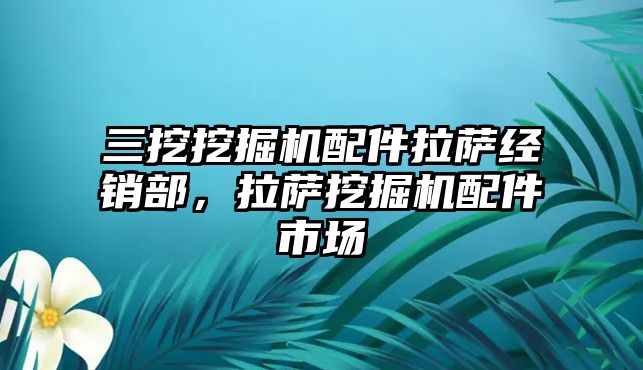 三挖挖掘機配件拉薩經(jīng)銷部，拉薩挖掘機配件市場