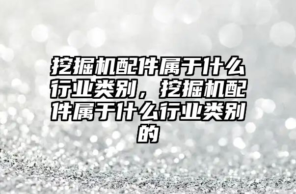 挖掘機(jī)配件屬于什么行業(yè)類(lèi)別，挖掘機(jī)配件屬于什么行業(yè)類(lèi)別的