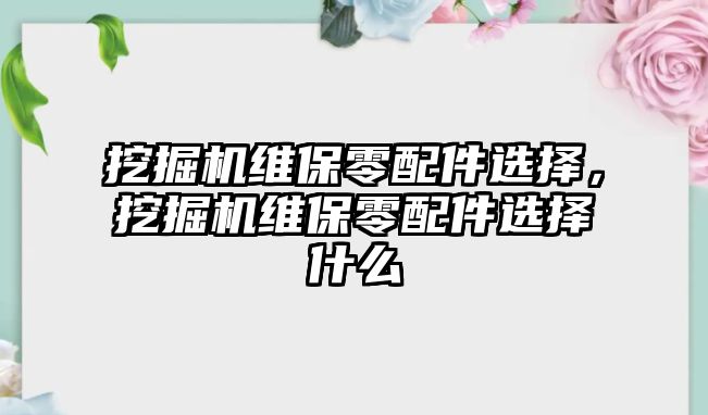 挖掘機(jī)維保零配件選擇，挖掘機(jī)維保零配件選擇什么