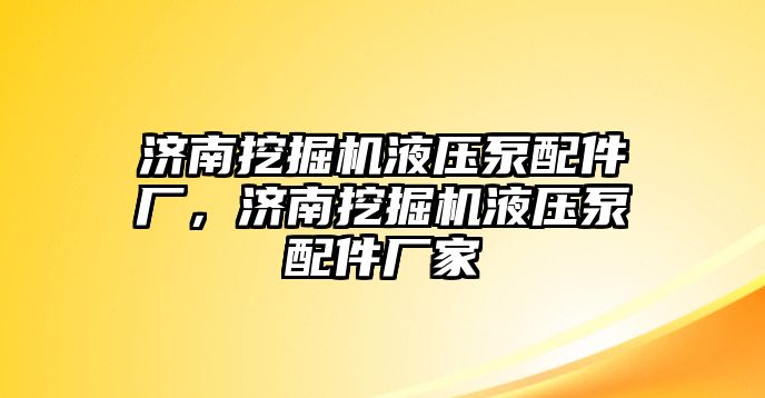 濟(jì)南挖掘機(jī)液壓泵配件廠，濟(jì)南挖掘機(jī)液壓泵配件廠家