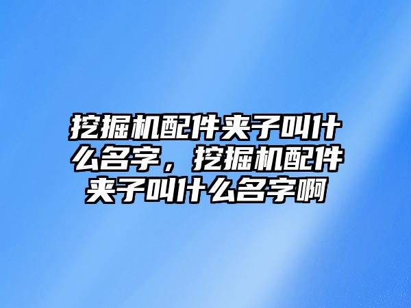 挖掘機(jī)配件夾子叫什么名字，挖掘機(jī)配件夾子叫什么名字啊