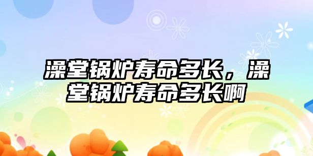 澡堂鍋爐壽命多長，澡堂鍋爐壽命多長啊