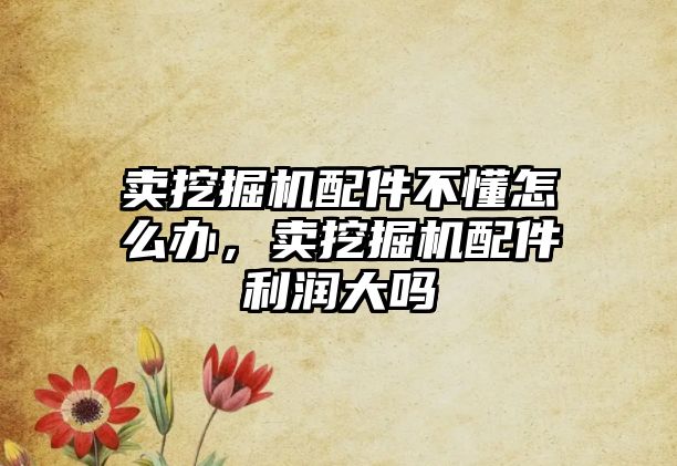 賣挖掘機配件不懂怎么辦，賣挖掘機配件利潤大嗎