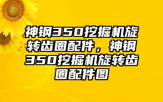 神鋼350挖掘機旋轉齒圈配件，神鋼350挖掘機旋轉齒圈配件圖