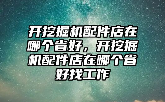 開挖掘機(jī)配件店在哪個省好，開挖掘機(jī)配件店在哪個省好找工作