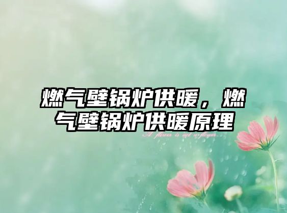 燃?xì)獗阱仩t供暖，燃?xì)獗阱仩t供暖原理