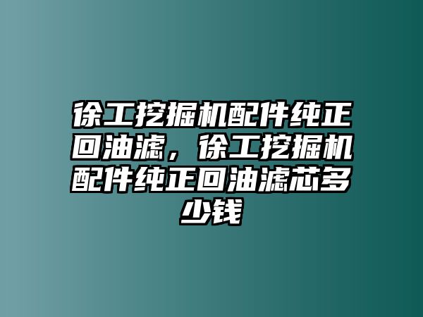 徐工挖掘機配件純正回油濾，徐工挖掘機配件純正回油濾芯多少錢