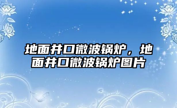 地面井口微波鍋爐，地面井口微波鍋爐圖片