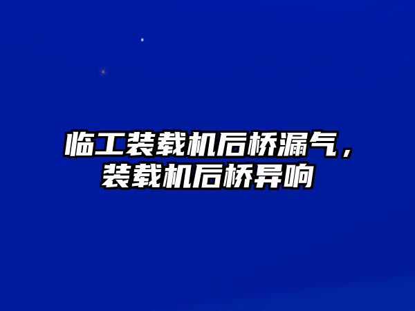 臨工裝載機后橋漏氣，裝載機后橋異響