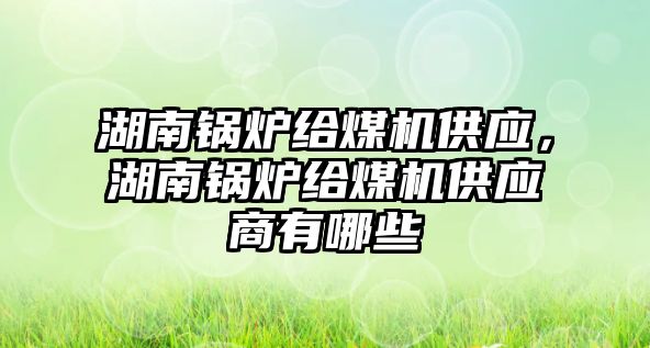 湖南鍋爐給煤機供應(yīng)，湖南鍋爐給煤機供應(yīng)商有哪些