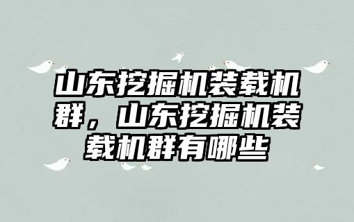 山東挖掘機(jī)裝載機(jī)群，山東挖掘機(jī)裝載機(jī)群有哪些