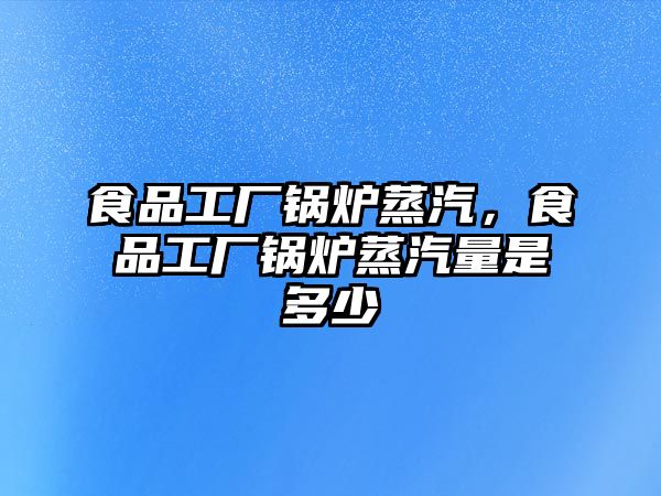 食品工廠鍋爐蒸汽，食品工廠鍋爐蒸汽量是多少