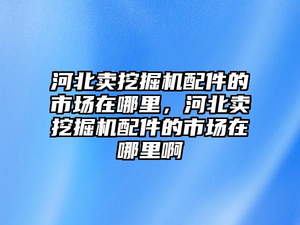 河北賣挖掘機(jī)配件的市場在哪里，河北賣挖掘機(jī)配件的市場在哪里啊