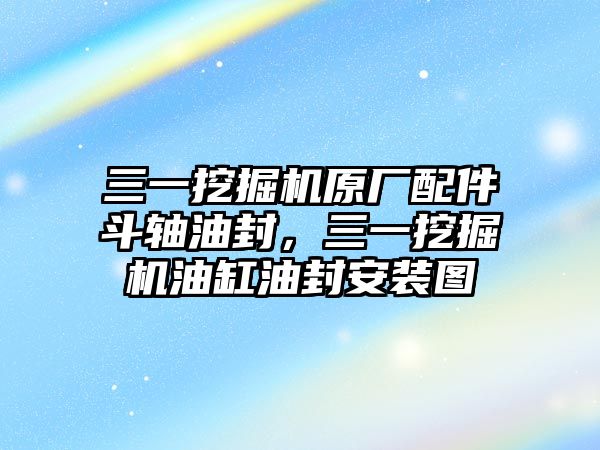 三一挖掘機(jī)原廠配件斗軸油封，三一挖掘機(jī)油缸油封安裝圖